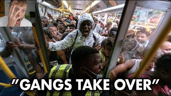 “NO MORE ARRESTS”… Mamdani ENDS NYPD Bus Patrols as GANGS TAKE OVER