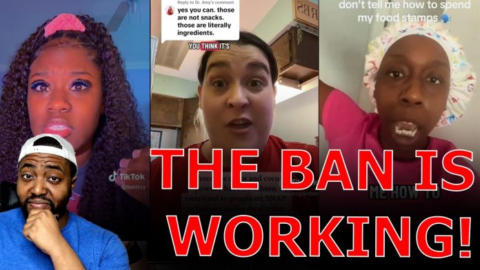 EBT Community FUMES Over Food Stamp BAN As BOMBSHELL Report PROVES Trump And MAHA RIGHT!
