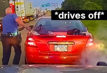 How This Driver’s Escape Ruined Her Life In A Single Second How This Driver's Escape Ruined Her Life In A Single Second